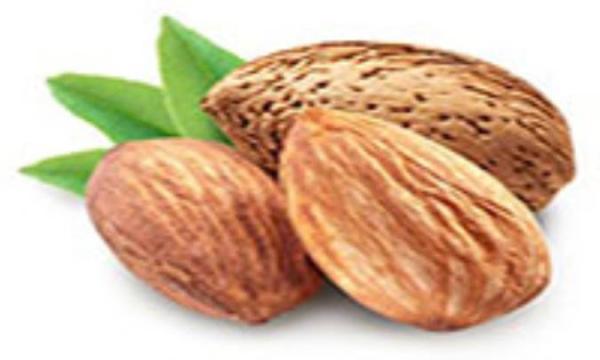 فوائد بادام برای پوست فوائد بادام برای پوست