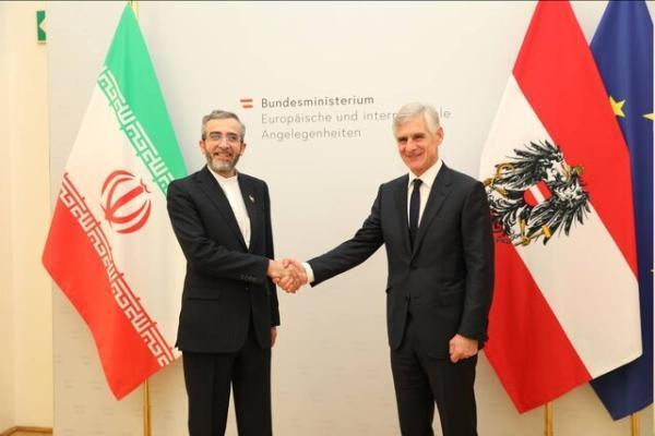 دیدار باقری کنی با وزیرخارجه اتریش دیدار باقری کنی با وزیرخارجه اتریش
