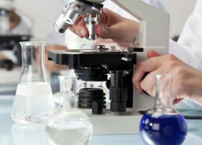 844 میلیارد ریال یارانه آزمایشگاهی به محققان کشور اختصاص می یابد