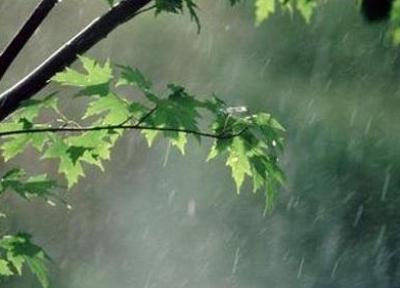 بارش باران های بهاری در اغلب شهرها، گرد و خاک در اهواز و جنوب کشور