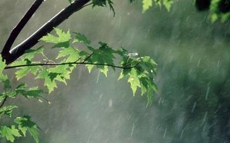 بارش باران های بهاری در اغلب شهرها، گرد و خاک در اهواز و جنوب کشور