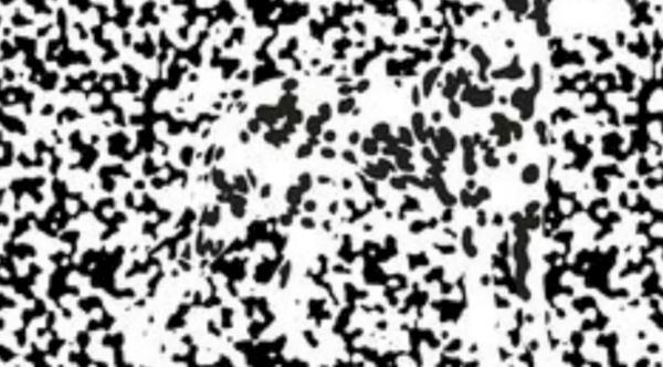 یک معما برای باهوش ها: حیوان مخفی در تصویر را در 8 ثانیه پیدا کنید!